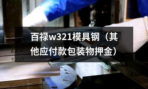 百祿w321模具鋼（其他應付款包裝物押金）
