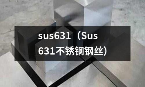 sus631（Sus631不銹鋼鋼絲）