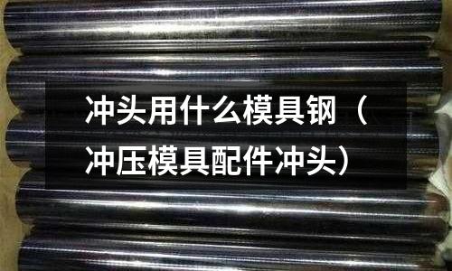 沖頭用什么模具鋼（沖壓模具配件沖頭）