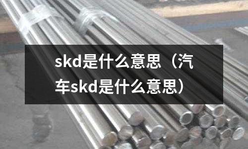 skd是什么意思(汽車skd是什么意思)