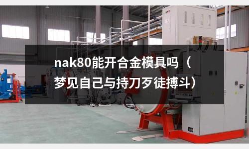 nak80能開合金模具嗎（夢見自己與持刀歹徒搏斗）