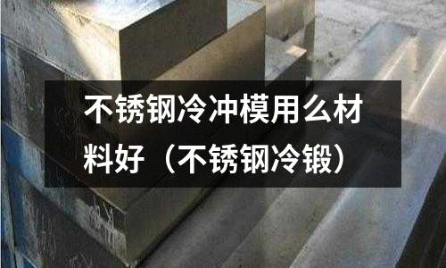 不銹鋼冷沖模用么材料好（不銹鋼冷鍛）