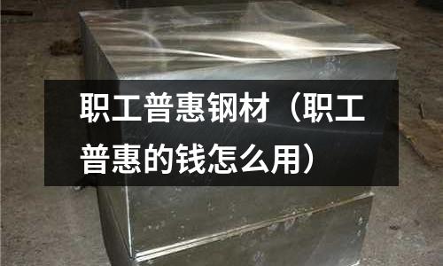 職工普惠鋼材（職工普惠的錢怎么用）