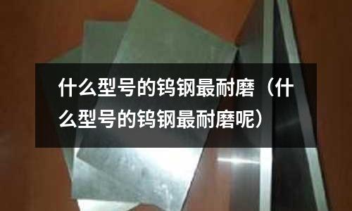 什么型號的鎢鋼最耐磨（什么型號的鎢鋼最耐磨呢）