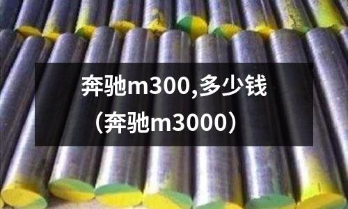 奔馳m300,多少錢（奔馳m3000）