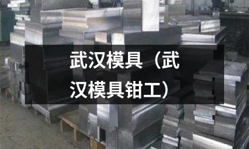 武漢模具（武漢模具鉗工）
