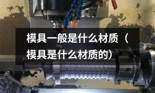 模具一般是什么材質(zhì)（模具是什么材質(zhì)的）