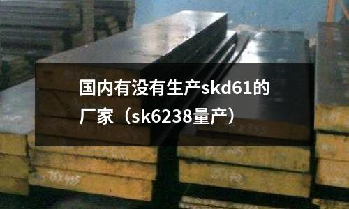 國內有沒有生產skd61的廠家（sk6238量產）