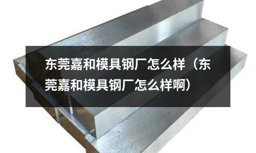 東莞嘉和模具鋼廠怎么樣（東莞嘉和模具鋼廠怎么樣啊）