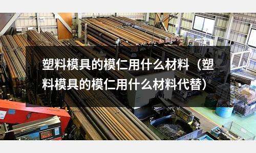塑料模具的模仁用什么材料(塑料模具的模仁用什么材料代替)