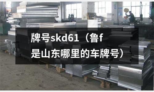 牌號skd61（魯f是山東哪里的車牌號）