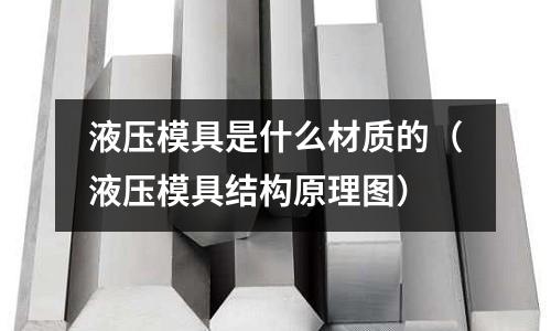 液壓模具是什么材質(zhì)的（液壓模具結(jié)構(gòu)原理圖）
