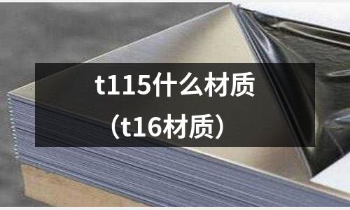 t115什么材質(t16材質)