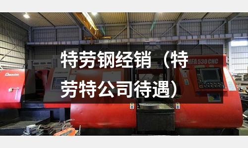 特勞鋼經銷（特勞特公司待遇）