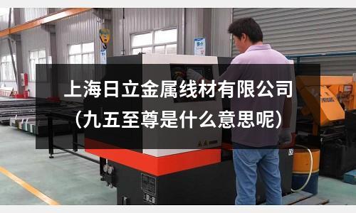 上海日立金屬線材有限公司（九五至尊是什么意思呢）