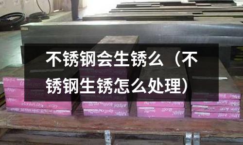 不銹鋼會生銹么（不銹鋼生銹怎么處理）