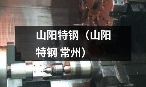 山陽特鋼（山陽特鋼 常州）