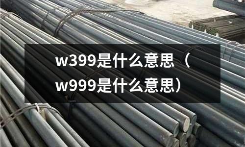 w399是什么意思(w999是什么意思)