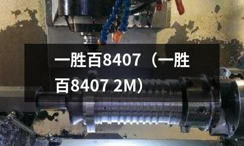 一勝百8407（一勝百8407 2M）