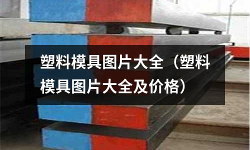 塑料模具圖片大全（塑料模具圖片大全及價格）
