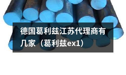 德國葛利茲江蘇代理商有幾家（葛利茲ex1）