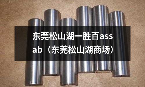 東莞松山湖一勝百assab（東莞松山湖商場）