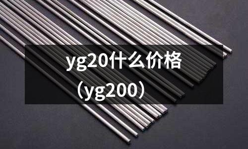 yg20什么價(jià)格（yg200）
