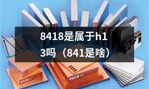 8418是屬于h13嗎（841是啥）