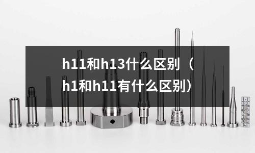 h11和h13什么區別（h1和h11有什么區別）