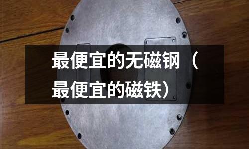 最便宜的無磁鋼（最便宜的磁鐵）