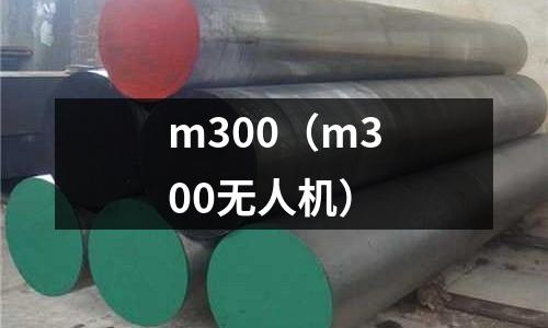 m300(m300無人機)