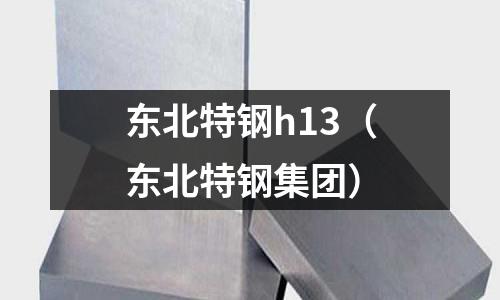 東北特鋼h13（東北特鋼集團）