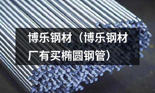 博樂鋼材（博樂鋼材廠有買橢圓鋼管）