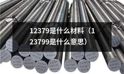 12379是什么材料(123799是什么意思)