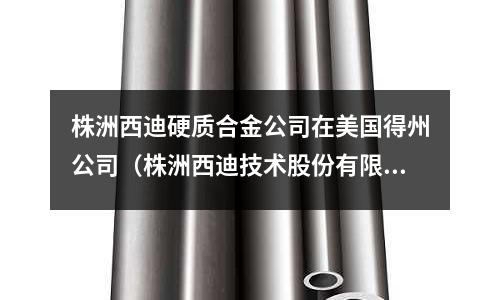 株洲西迪硬質合金公司在美國得州公司(株洲西迪技術股份有限公司)