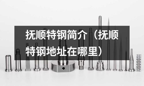 撫順特鋼簡介(撫順特鋼地址在哪里)