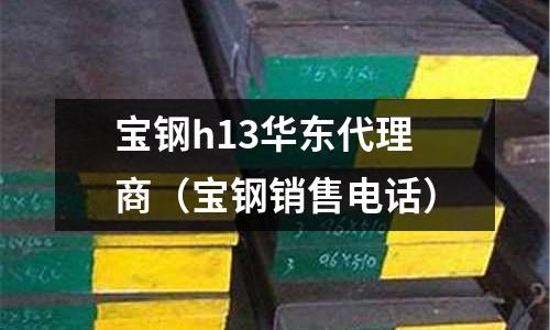 寶鋼h13華東代理商（寶鋼銷售電話）