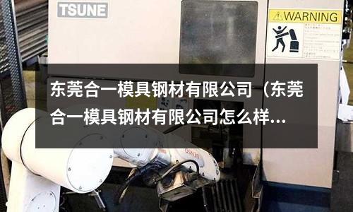 東莞合一模具鋼材有限公司（東莞合一模具鋼材有限公司怎么樣）