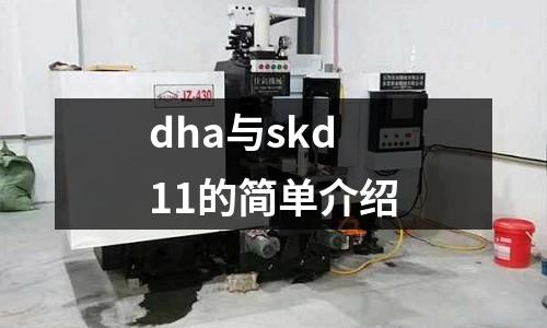 dha與skd11的簡單介紹