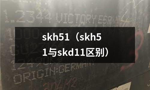 skh51（skh51與skd11區別）
