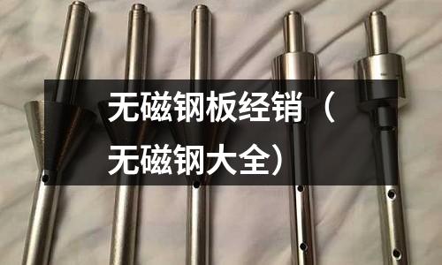 無磁鋼板經(jīng)銷(無磁鋼大全)