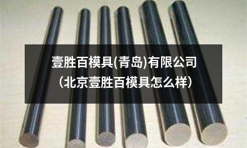 壹勝百模具(青島)有限公司(北京壹勝百模具怎么樣)