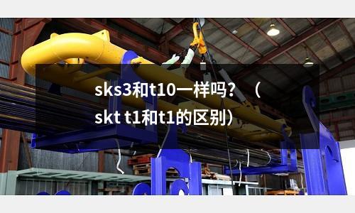 sks3和t10一樣嗎？（skt t1和t1的區(qū)別）