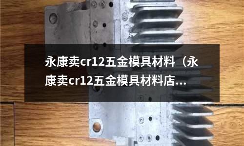 永康賣cr12五金模具材料(永康賣cr12五金模具材料店)