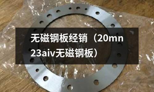 無磁鋼板經銷（20mn23aiv無磁鋼板）