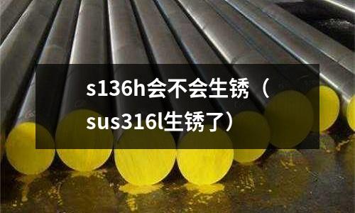 s136h會不會生銹（sus316l生銹了）