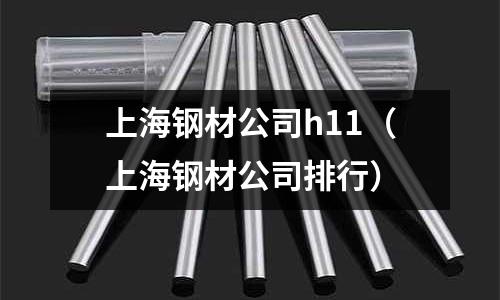 上海鋼材公司h11（上海鋼材公司排行）