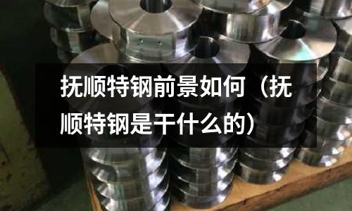 撫順特鋼前景如何（撫順特鋼是干什么的）