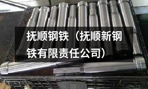 撫順鋼鐵(撫順新鋼鐵有限責任公司)