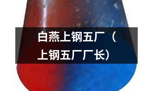 白燕上鋼五廠（上鋼五廠廠長(zhǎng)）